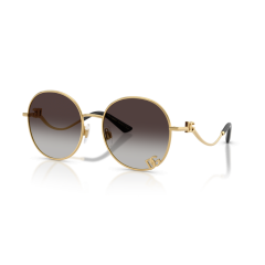 Dolce & Gabbana DG 2324 02/8G Güneş Gözlüğü