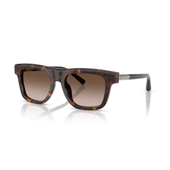 Dolce & Gabbana DG 4521 502/13 Güneş Gözlüğü