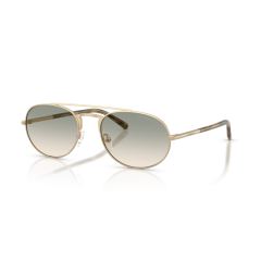Emporio Armani EA 2171 30022C Güneş Gözlüğü