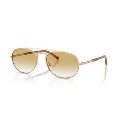 Emporio Armani EA 2171 30022Q Güneş Gözlüğü