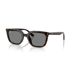 Ray-Ban RB 4439D 710/87 Güneş Gözlüğü
