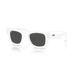 Ray-Ban RB 4940 671/87 Güneş Gözlüğü