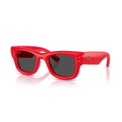 Ray-Ban RB 4940 683187 Güneş Gözlüğü