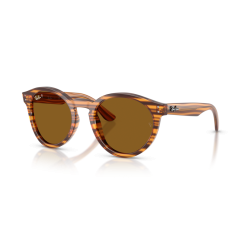 Ray-Ban RB R0505S 679183 Güneş Gözlüğü
