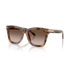 Ralph Lauren RL 8235U 608913 Güneş Gözlüğü