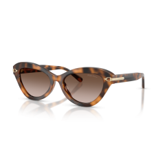Ralph Lauren RL 8236U 608913 Güneş Gözlüğü