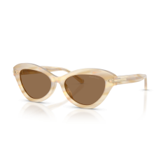 Ralph Lauren RL 8236U 617673 Güneş Gözlüğü