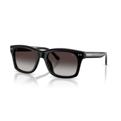 Ralph Lauren RL 8237U 50018G Güneş Gözlüğü