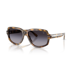 Ralph Lauren RL 8238U 61788G Güneş Gözlüğü