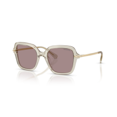 Swarovski SK 6040 3003LA Güneş Gözlüğü