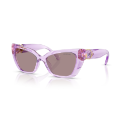 Swarovski SK 6047 1079LA Güneş Gözlüğü