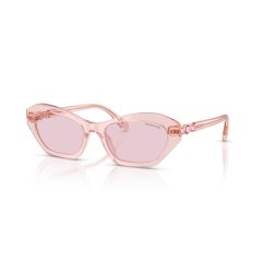Swarovski SK 6048 1070P5 Güneş Gözlüğü