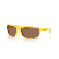 Arnette AN 4373 304273 Güneş Gözlüğü