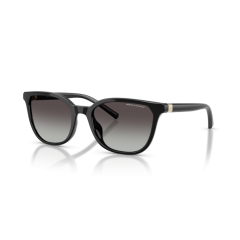Armani Exchange AX 4168SU 81588G Güneş Gözlüğü