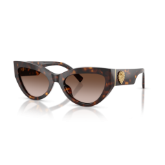 Dolce & Gabbana DG 4536 502/13 Güneş Gözlüğü