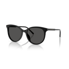Dolce & Gabbana DG 4540 501/87 Güneş Gözlüğü