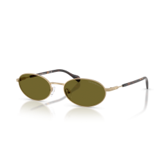 Emporio Armani EA 2175 3002/2 Güneş Gözlüğü