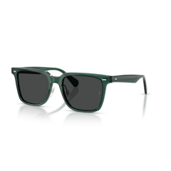 Oliver Peoples OV 5592S 176387 Güneş Gözlüğü