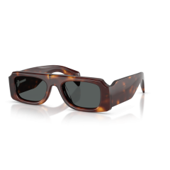 Oliver Peoples OV 5610SU 1007P2 Güneş Gözlüğü