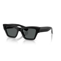 Oliver Peoples OV 5611SU 1731P2 Güneş Gözlüğü