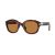 Persol PO 0060S 24/4E Güneş Gözlüğü, Ekartman: 50