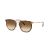 Ray-Ban RB 4451 680451 Güneş Gözlüğü, Ekartman: 53