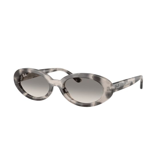 Ray-Ban RB 2223 144832 Güneş Gözlüğü