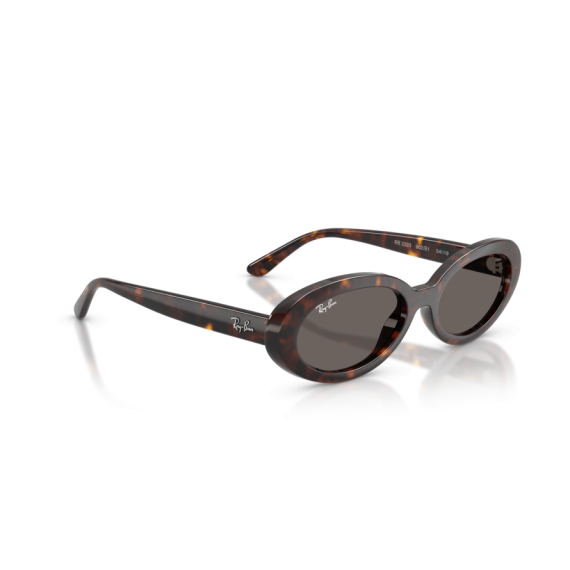 Ray-Ban RB 2223 902/B1 Güneş Gözlüğü
