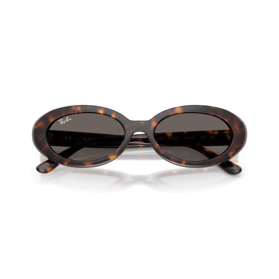 Ray-Ban RB 2223 902/B1 Güneş Gözlüğü