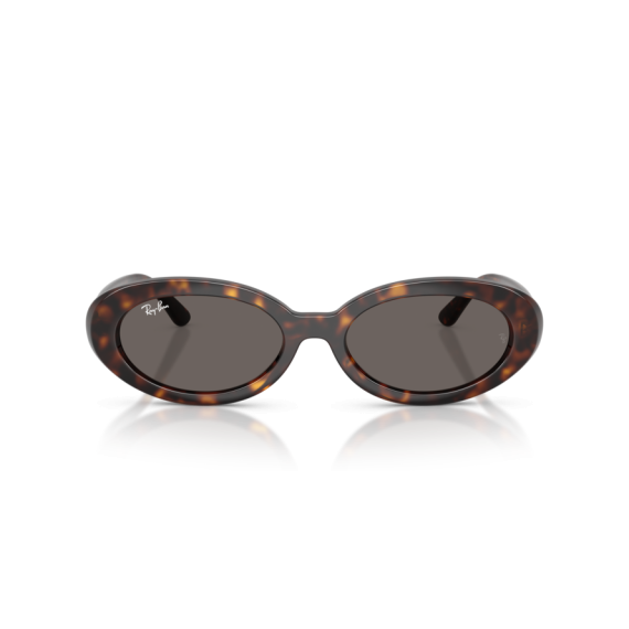 Ray-Ban RB 2223 902/B1 Güneş Gözlüğü