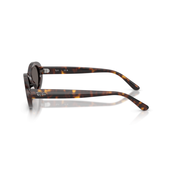 Ray-Ban RB 2223 902/B1 Güneş Gözlüğü