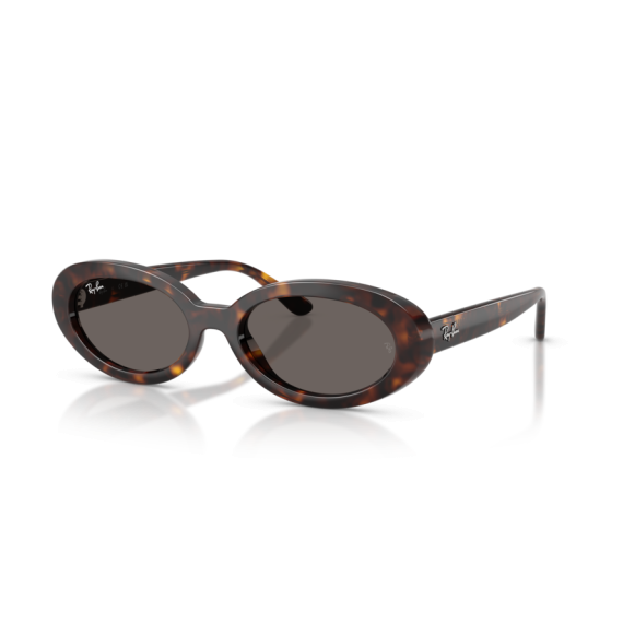 Ray-Ban RB 2223 902/B1 Güneş Gözlüğü