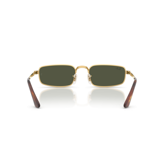 Ray-Ban RB 3927 001/31 Güneş Gözlüğü
