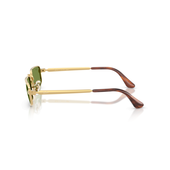 Ray-Ban RB 3927 001/4E Güneş Gözlüğü