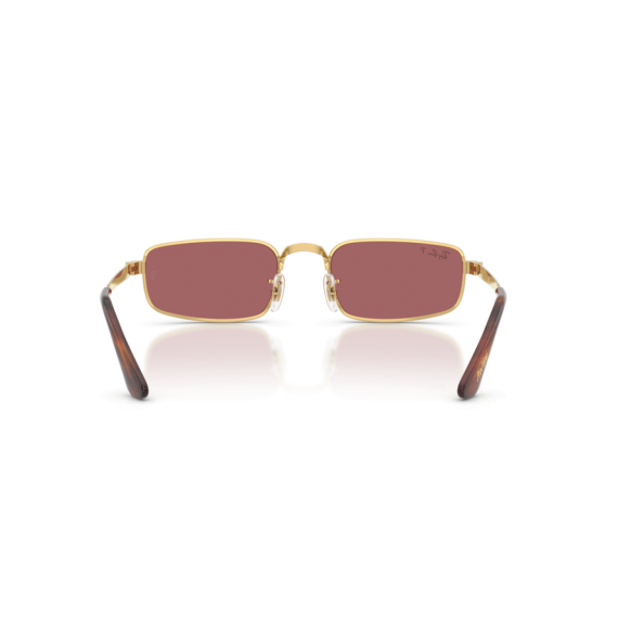 Ray-Ban RB 3927 001/AF Güneş Gözlüğü