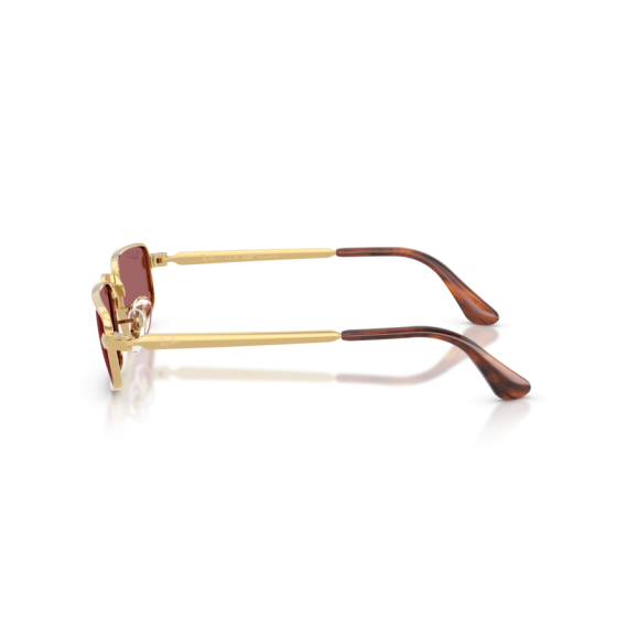 Ray-Ban RB 3927 001/AF Güneş Gözlüğü