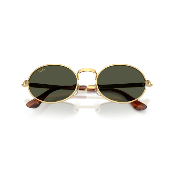 Ray-Ban RB 3931 001/31 Güneş Gözlüğü