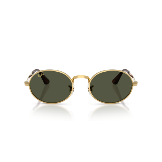 Ray-Ban RB 3931 001/31 Güneş Gözlüğü