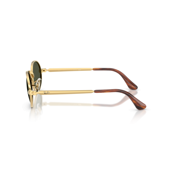 Ray-Ban RB 3931 001/31 Güneş Gözlüğü