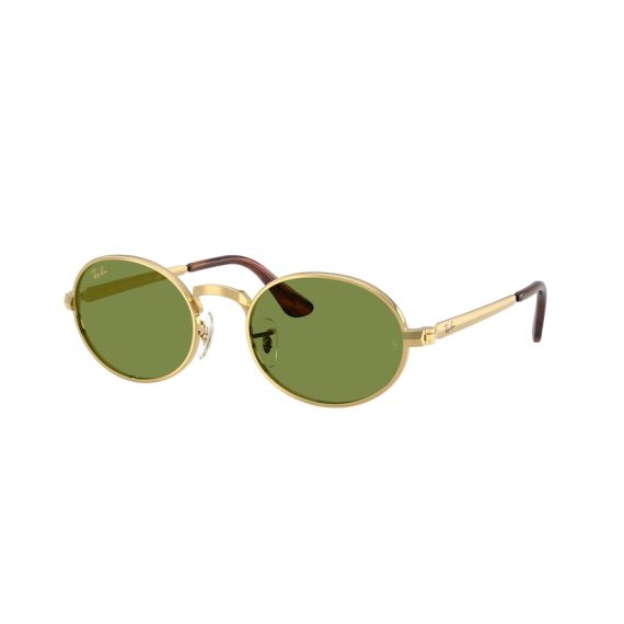 Ray-Ban RB 3931 001/4E Güneş Gözlüğü