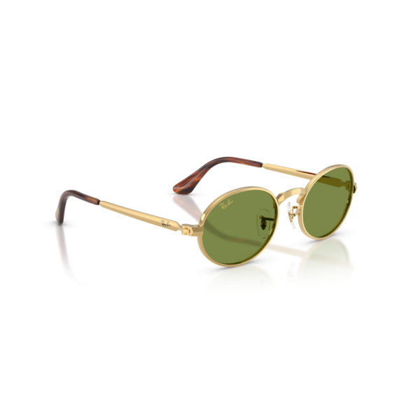 Ray-Ban RB 3931 001/4E Güneş Gözlüğü