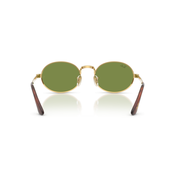 Ray-Ban RB 3931 001/4E Güneş Gözlüğü