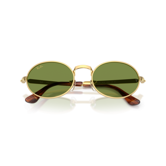 Ray-Ban RB 3931 001/4E Güneş Gözlüğü
