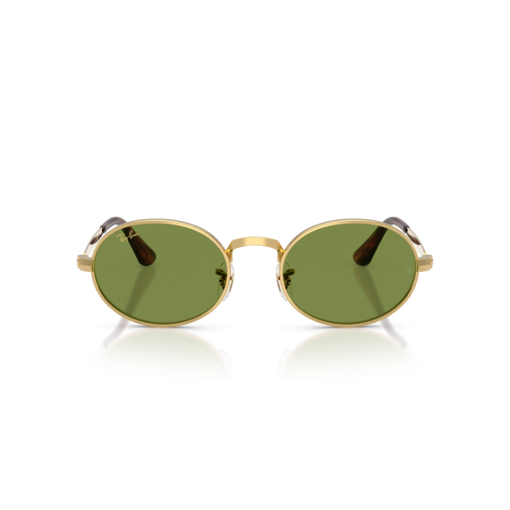 Ray-Ban RB 3931 001/4E Güneş Gözlüğü