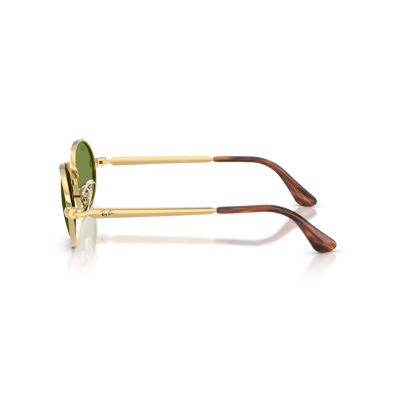 Ray-Ban RB 3931 001/4E Güneş Gözlüğü