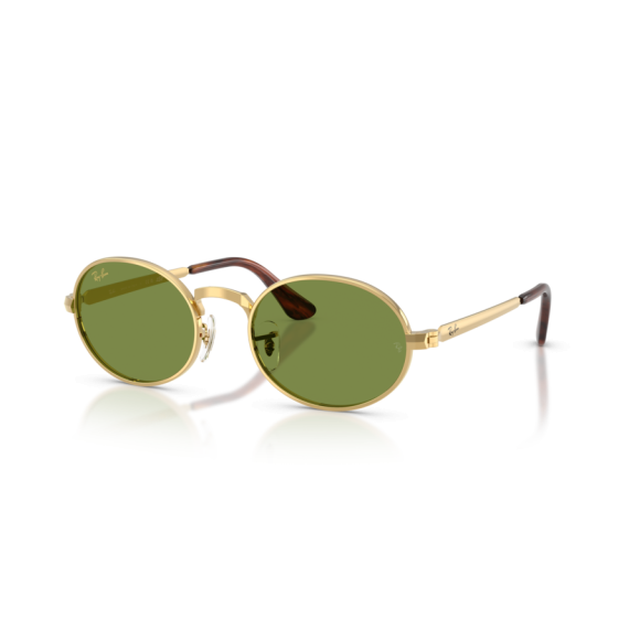 Ray-Ban RB 3931 001/4E Güneş Gözlüğü
