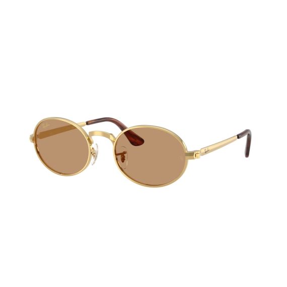Ray-Ban RB 3931 001/53 Güneş Gözlüğü
