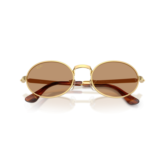 Ray-Ban RB 3931 001/53 Güneş Gözlüğü