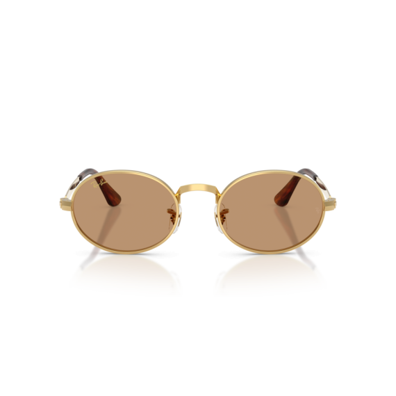 Ray-Ban RB 3931 001/53 Güneş Gözlüğü