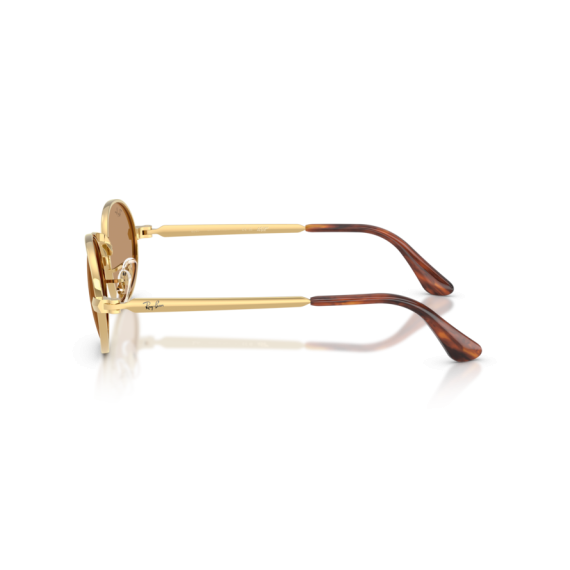 Ray-Ban RB 3931 001/53 Güneş Gözlüğü